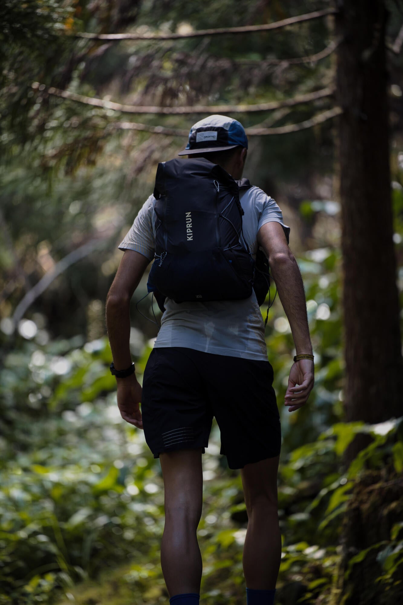 Kiprun 15L Ultra Trail Running Hydration Vest - 2L Water Bladder Included