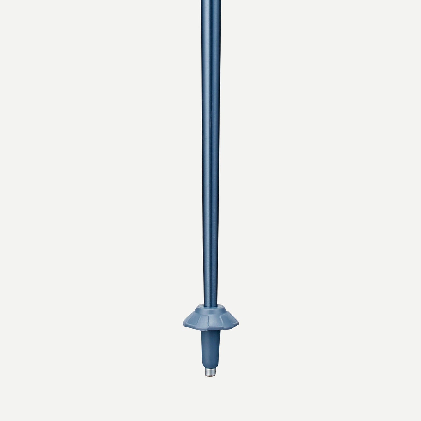 Forclaz MT100 Hiking Pole (Single Pole)