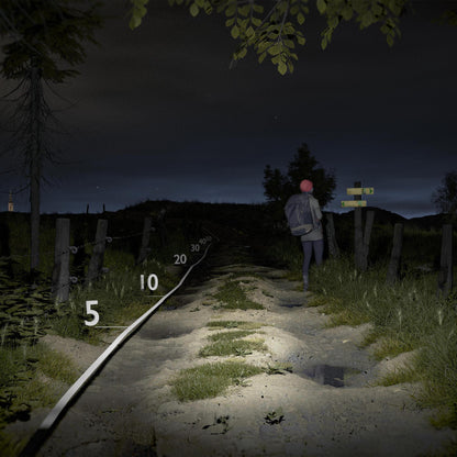Simond HL500 USB 300 Lumen Headlamp