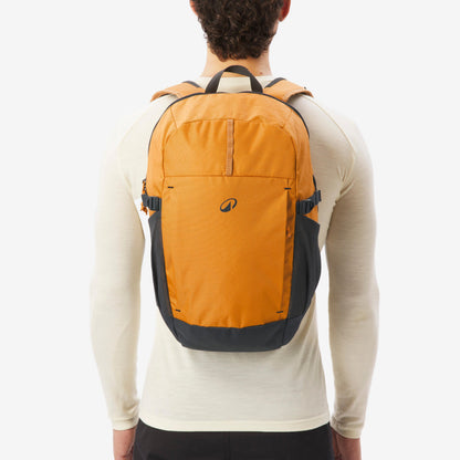 Quechua 100 Arpenaz 20L Hiking Backpack