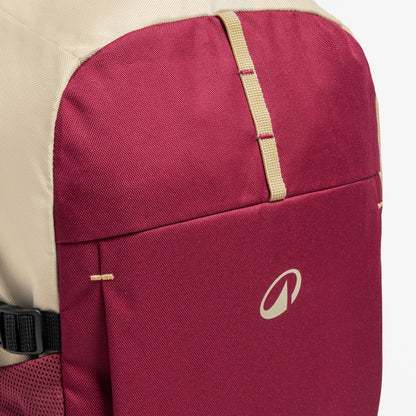Quechua 100 Arpenaz 20L Hiking Backpack